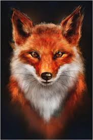 Profilo di Zinédine